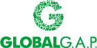 Global Gap +  GRASP